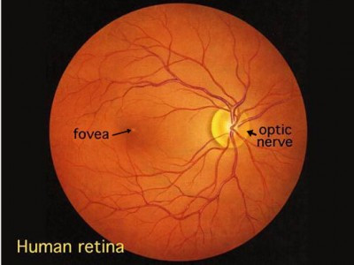 Cresce risco de doenças na retina
