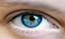 Globalmente, população dá pouca atenção à saúde dos olhos, aponta uma nova pesquisa de opinião
